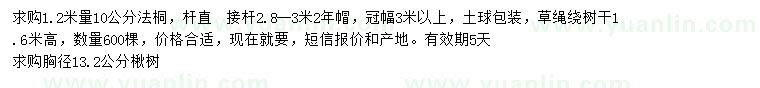 求購(gòu)1.2米量10公分法桐、胸徑13.2公分楸樹(shù)