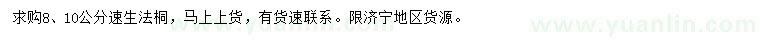 求購8、10公分速生法桐