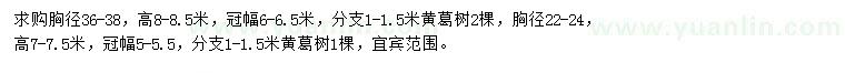 求購(gòu)胸徑22-24、36-38公分黃葛樹(shù)