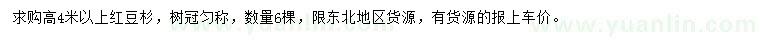 求購高4米以上紅豆杉