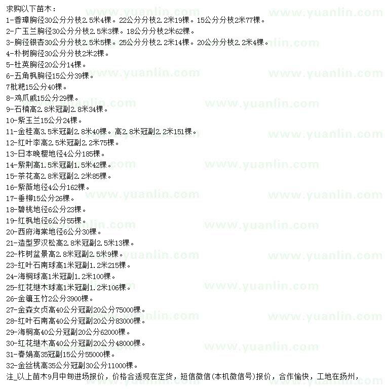 求購香璋、廣玉蘭、銀杏等