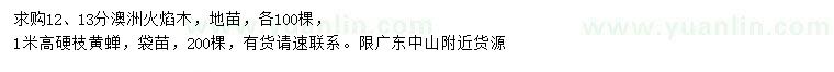 求購(gòu)12、13公分澳洲火焰木、高1米硬枝黃蟬