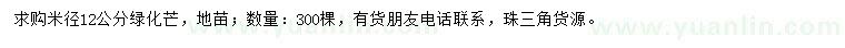 求購米徑12公分綠化芒