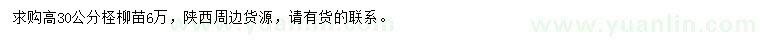 求購高30公分檉柳苗