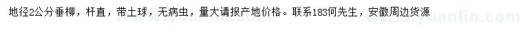 求購地徑2公分垂柳