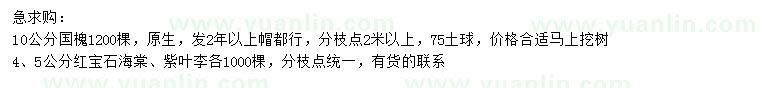 求購國槐、紅寶石海棠、紫葉李