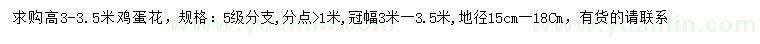 求購高3-3.5米雞蛋花