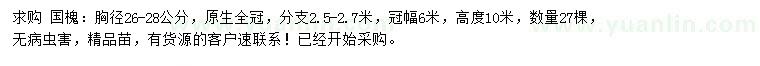 求購胸徑26-28公分國槐