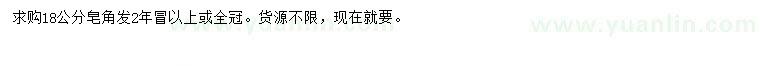 求購18公分皂角