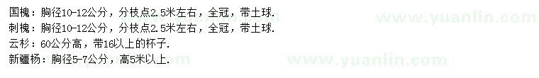 求購國槐、刺槐、云杉等