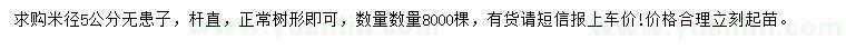 求購米徑5公分無患子