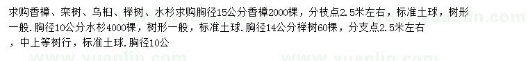 求購香樟、欒樹、烏桕等