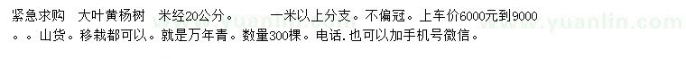 求購 米經(jīng)20公分大葉黃楊