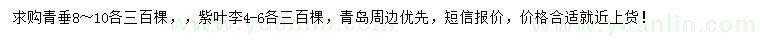 求購(gòu)8-10公分青垂、4-6公分紫葉李