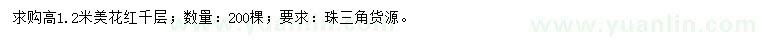 求購(gòu)高1.2米美花紅千層