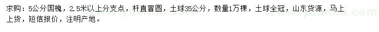 求購5公分國槐