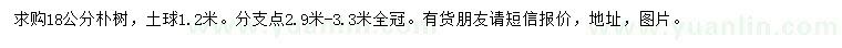 求購18公分樸樹