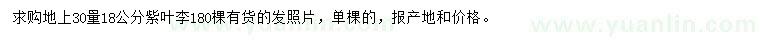 求購(gòu)地上30量18公分紫葉李