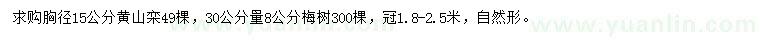 求購胸徑15公分黃山欒、30公分量8公分梅樹(shù)