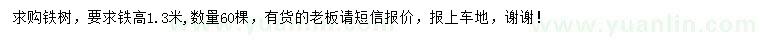 求購高1.3米鐵樹