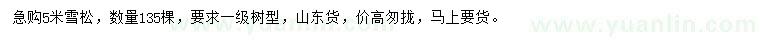 求購5米雪松