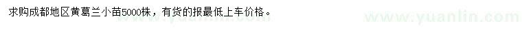 求購(gòu)黃葛蘭小苗