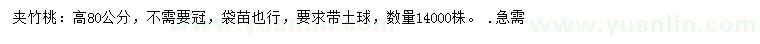 求購高80公分夾竹桃