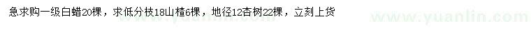 求購白蠟、山楂、杏樹