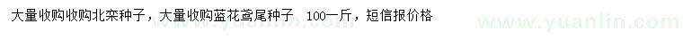 求購(gòu)北欒種子、藍(lán)花鳶尾種子