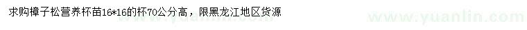 求購高70公分樟子松