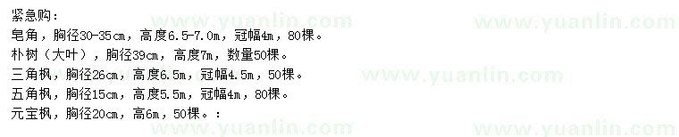 求購皂角、樸樹、三角楓等