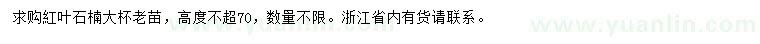 求購高度不超70公分紅葉石楠