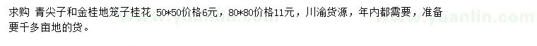 求購(gòu)青尖子、金桂地籠子桂花