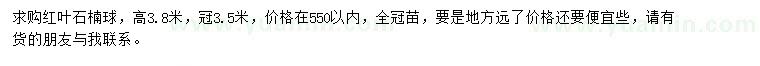 求購高3.8米紅葉石楠球