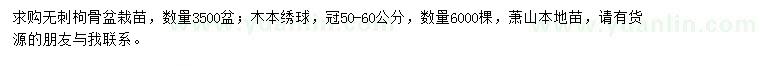 求購無刺枸骨、木本繡球