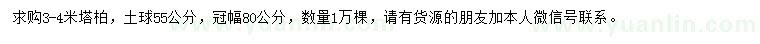 求購(gòu)3-4米塔柏