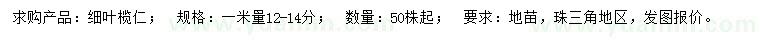 求購1米量12-14公分細(xì)葉欖仁