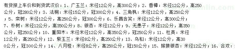 求購廣玉蘭、香樟、法桐等