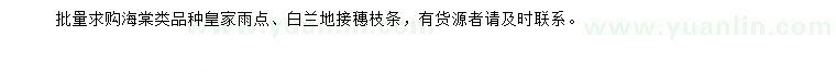 求購皇家雨點(diǎn)、白蘭地海棠接穗