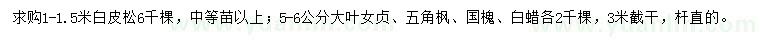 求購白皮松、國槐、大葉女貞等