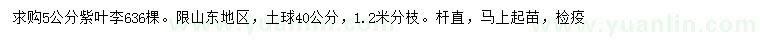 求購5公分紫葉李
