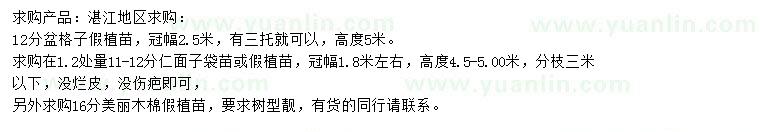 求購盆架子、仁面子、美麗木棉