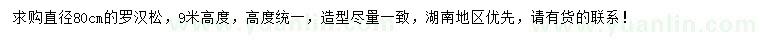 求購(gòu)直徑80公分羅漢松