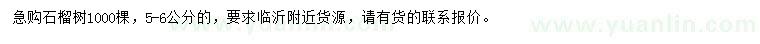 求購5-6公分石榴樹
