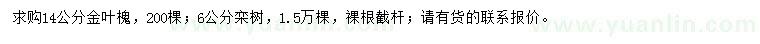 求購14公分金葉槐、6公分欒樹