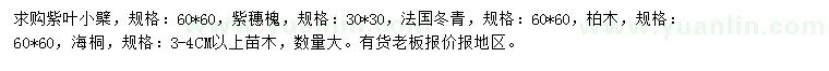 求購(gòu)紫葉小檗、紫穗槐、法國(guó)冬青等