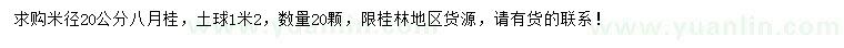 求購米徑20公分八月桂
