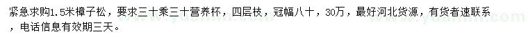 求購1.5米樟子松