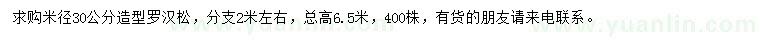 求購米徑30公分造型羅漢松