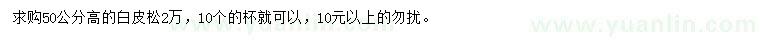 求購50公分高白皮松